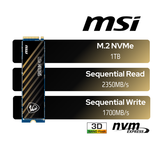 SPATIUM M371 NVMe M.2 1TB