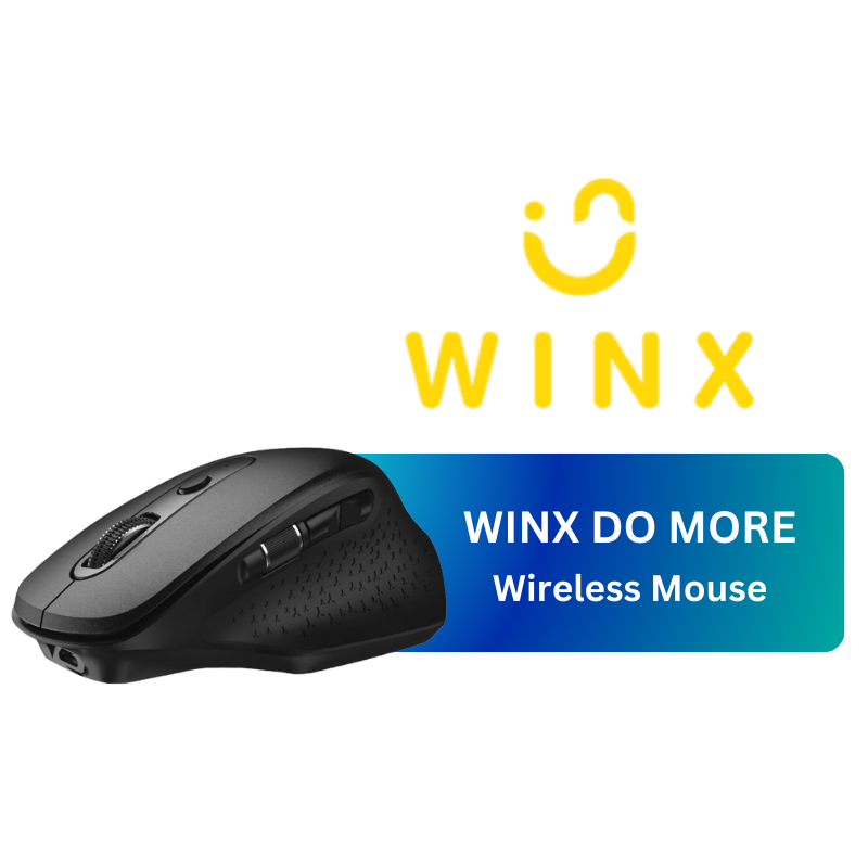 WINX DO More Wireless & Bluetooth Mouse