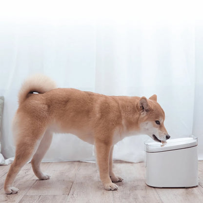 Xiaomi Smart Pet Fountain